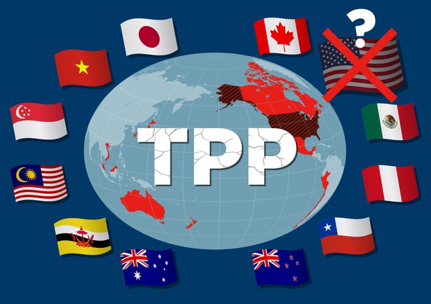 TPP (Trans-Pacific Partnership)