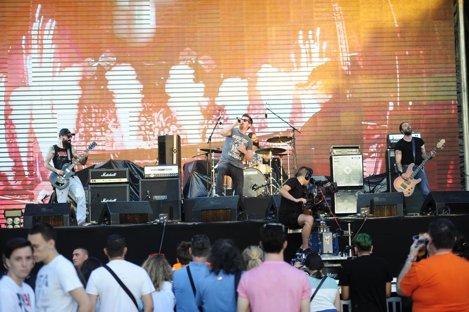 Road Kill Soda Egzit 2016