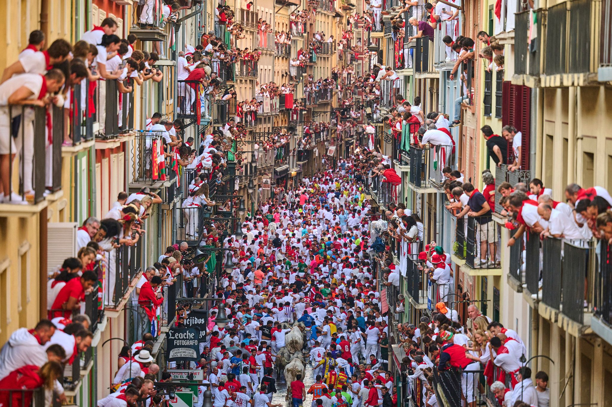 5 Verletzte beim Stierlauf in Pamplona