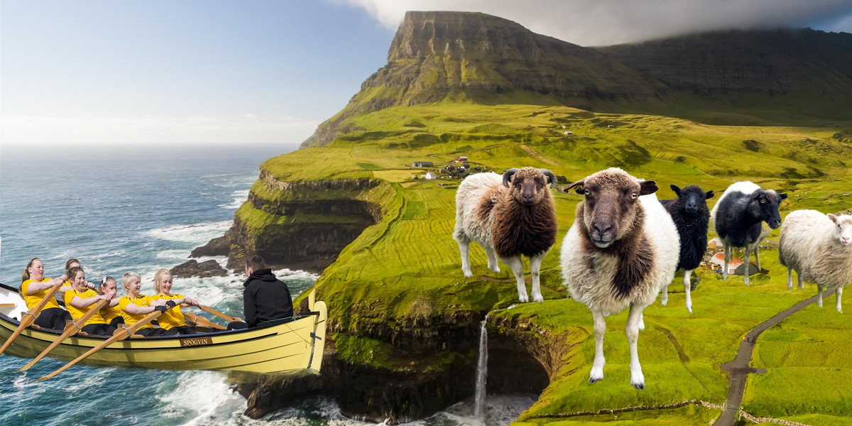 Na Wyspach Owczych owiec żyje więcej, niż ludzi.