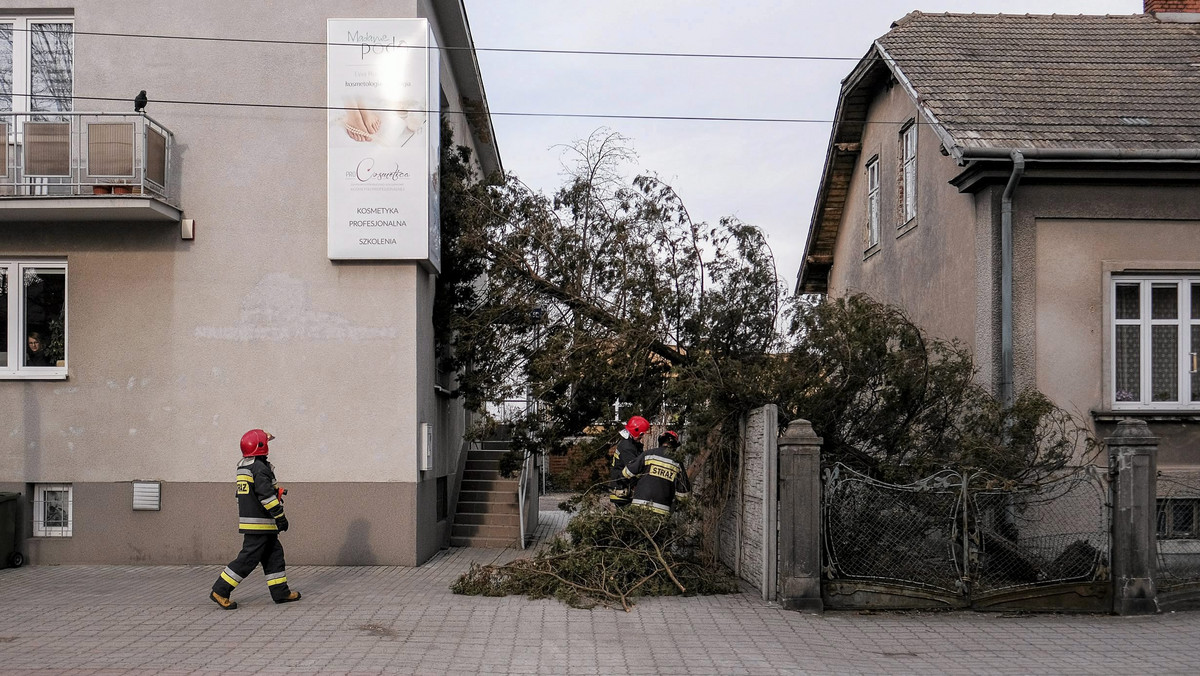 Podkarpackie: ponad 200 interwencji straży z powodu silnego wiatru