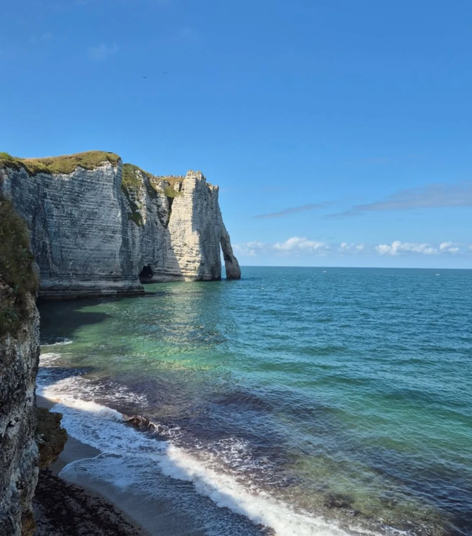 Anika Milićević, objava