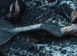 Mermaids and 3 other mysterious sea creatures the world doesn't believe exist