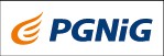 pgnig - logo