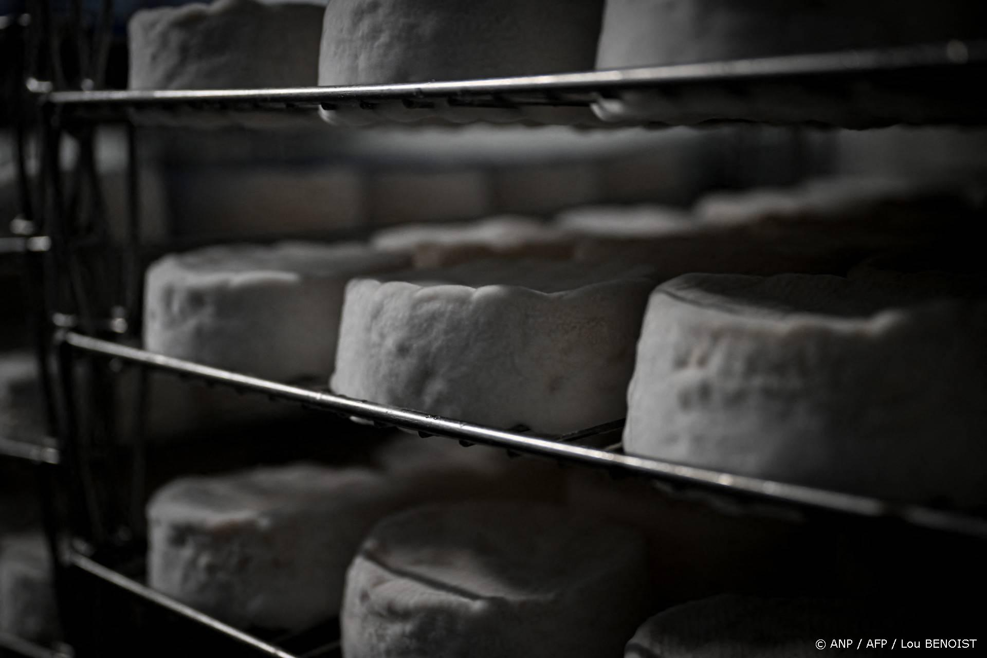 NVWA weigert terugroep listeria-kaas - 'al gegeten'