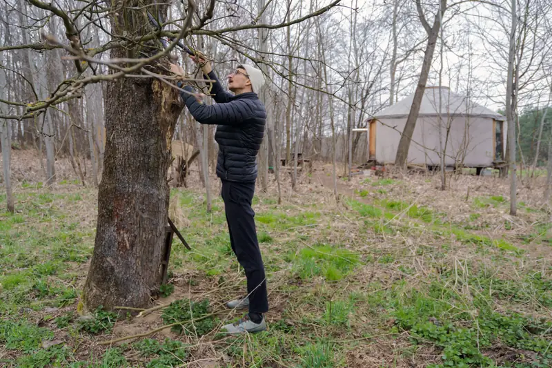 Henryk i Justyna mieszkają w jurcie