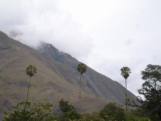 Galeria Peru - Machu Picchu "Zaginione Miasto Inków", obrazek 7