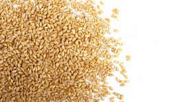 Minister rolnictwa: Nie mamy już nadwyżek zboża