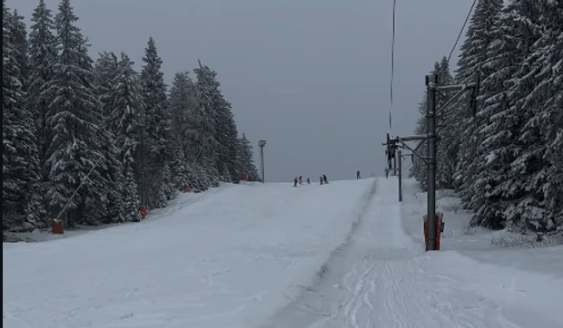 Pao sneg na Kopaoniku