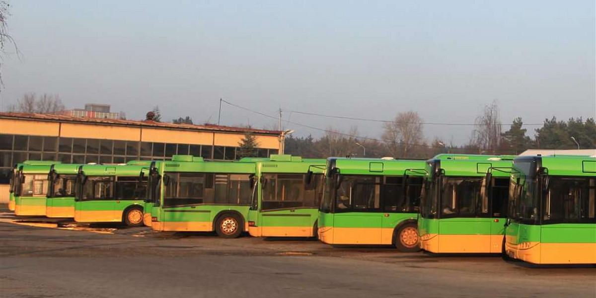 Ikarus, Solaris, autobus, Poznań