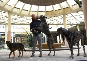 foto dana 301121 ras foto Snezana Krstic (21) preview