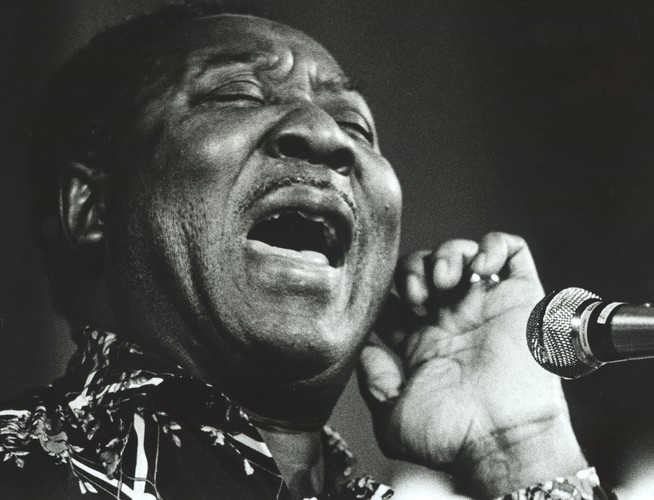 Muddy Waters – 'Got My Mojo Working'