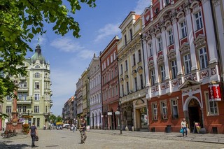 Pomysł na Świdnicę