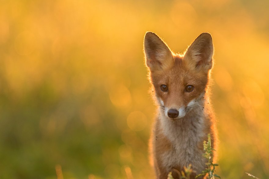 Bliskie spotkania z naturą to świetny sposób na spędzanie wolnego czasu