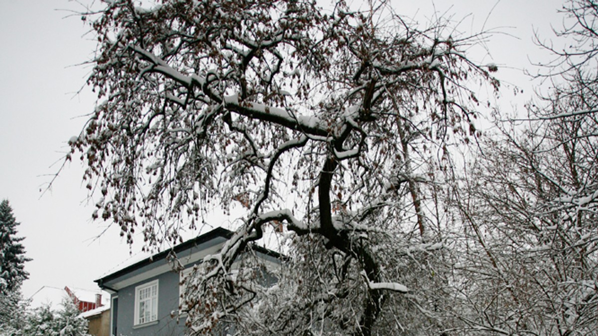 Polska wciąż znajduje się pod wpływem mroźnego powietrza pochodzenia arktycznego. Temperatura maksymalna w Polsce wyniesie od -9 stopni Celsjusza lokalnie na Pomorzu do -4 st. C. na krańcach zachodnich. Jak informuje dyżurny Głównej Dyrekcji Dróg Krajowych i Autostrad w Krakowie, padający w niektórych rejonach Małopolski śnieg może utrudniać poruszanie się po drogach; szczególnie na drodze krajowej nr 28 na obwodnicy Biecza i Gorlic.