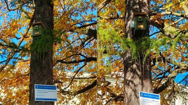 Rodzice mogą zdecydować, co jest potrzebne w szkołach ich dzieci