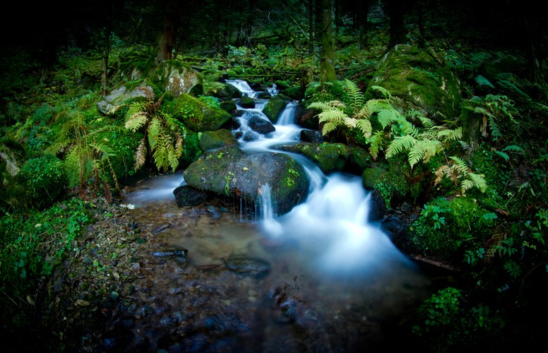 7. miejsce: Naturparks w Schwarzwaldzie – największy tego typu obiekt w Niemczech. Turyści doceniają jego niezwykły urok: niezwykłe krajobrazy, gęsty las, wąwozy, pagórki, jeziora – słowem piękno natury w najlepszej postaci.