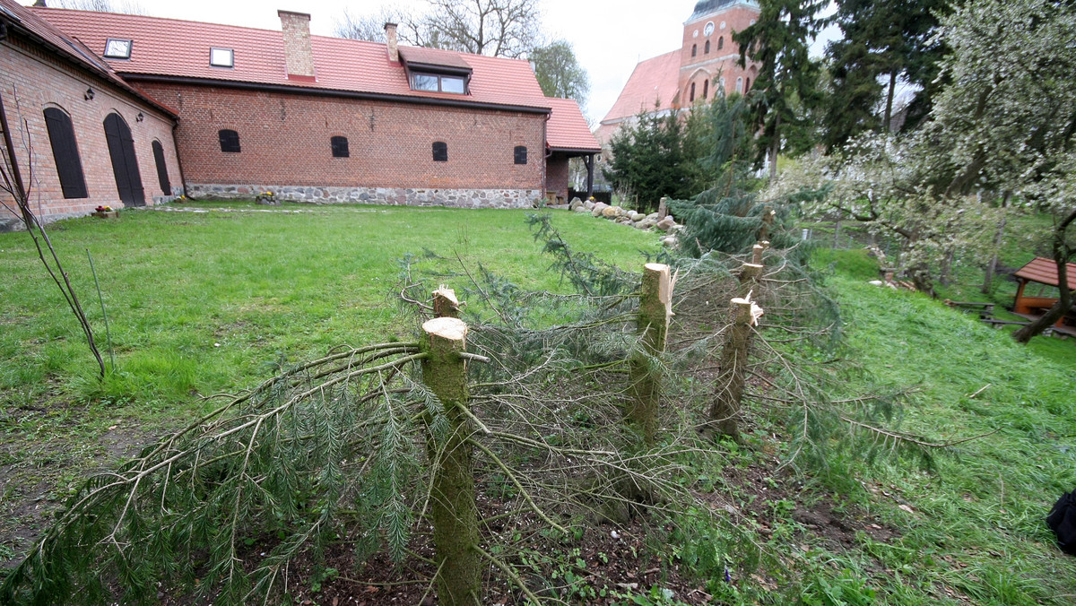 Wycięte drzewa na posesji ministra Jana Szyszki