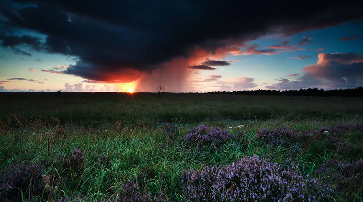 Jön az eső / Illusztráció: Northfoto