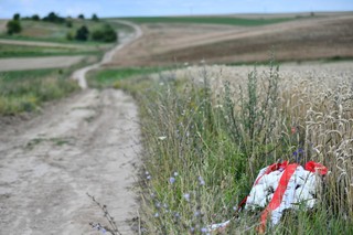 Parafianowicz: Polsko-ukraińską historią zajęli się cyniczni dyplomaci. I dobrze