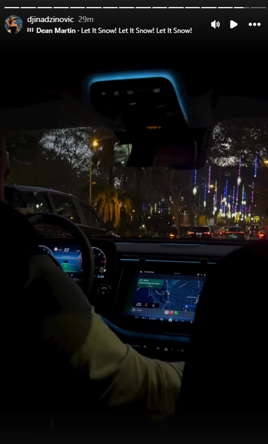 Đina Džinović objava