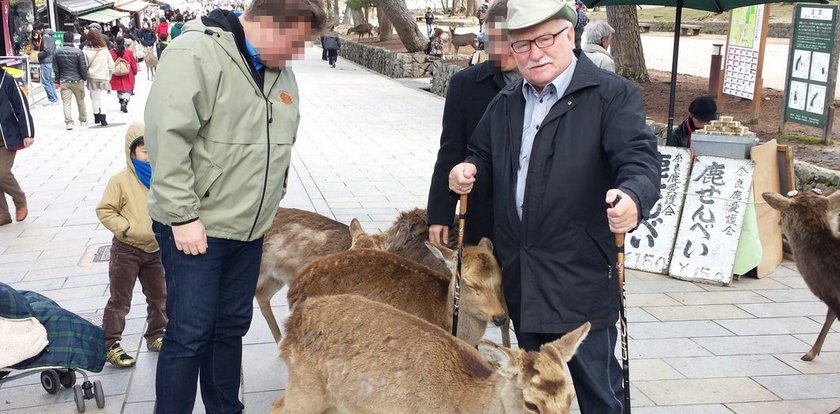 Na basenie z paniami i nie tylko! Prywatne zdjęcia Wałęsy!