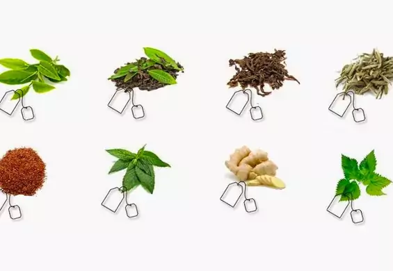 12 rodzajów herbat doskonałych dla zdrowia. Jaka jest Twoja ulubiona? [Infografika]