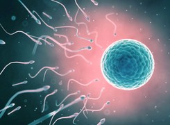 Plemniki w stresie - przyczyna zaburzeń płodności mężczyzn