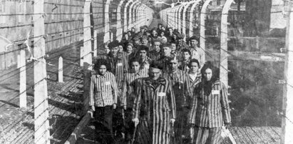 PiS: Karać więzieniem za „polskie obozy śmierci”