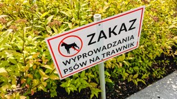 Aranżacja zieleni. Czy gmina ma prawo do zwrotu VAT?