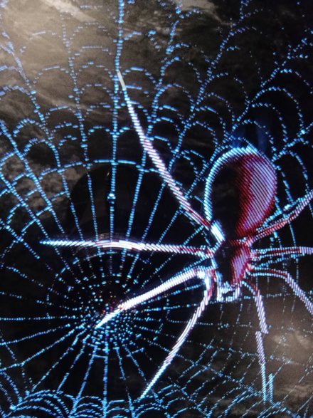 Polsko-Czeskie Interaktywne Muzeum Ziemi Kłodzkiej w Kudowie-Zdroju