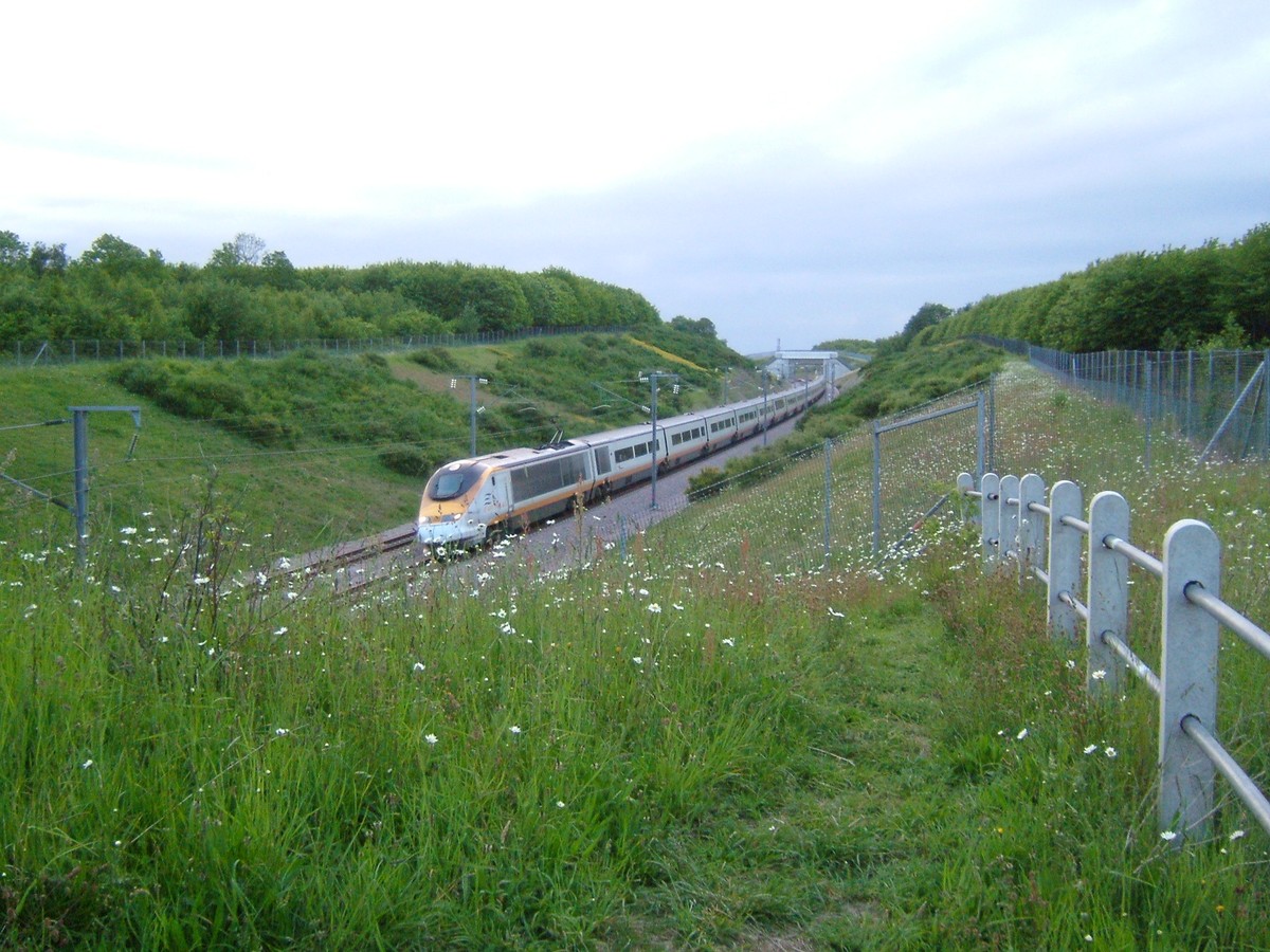 Eurostar okazał się być najgorszym europejskim przewoźnikiem kolejowym, twierdzą aktywiści z T&E, Fot. ClemRutter, Rochester, Kent., CC 3.0