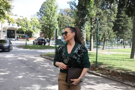 Ceca Ražnatović
