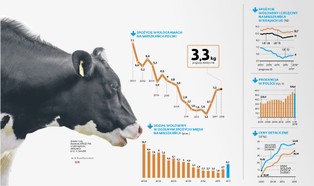 Będziemy jeść więcej burgerów i steków