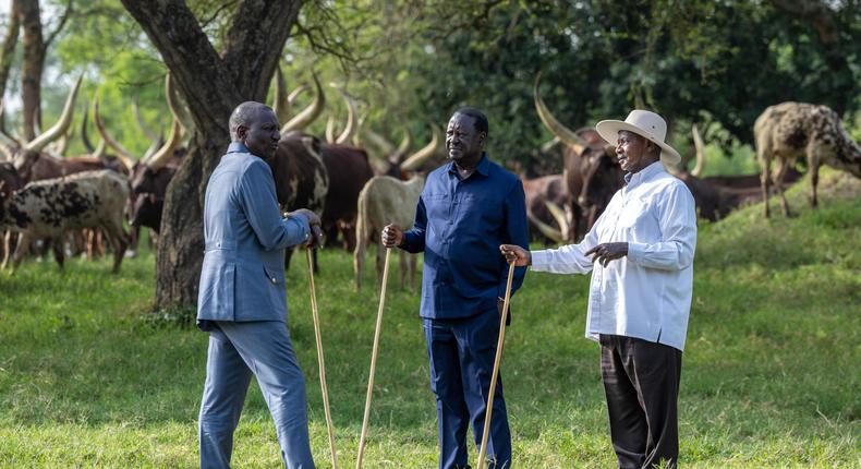 President Yoweri Museveni recently hosted Raila Odinga and President William Ruto