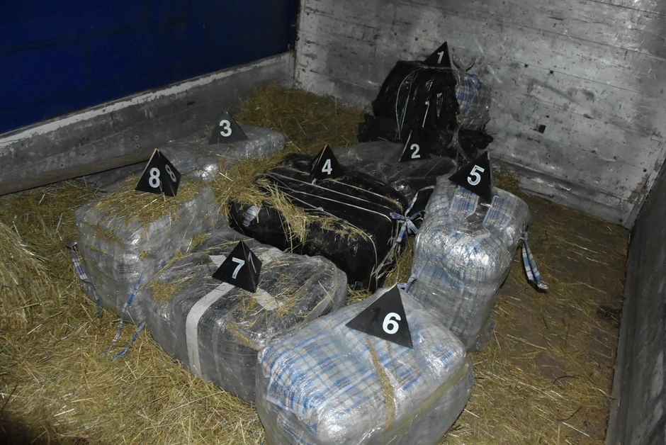 Zaplenjena marihuana