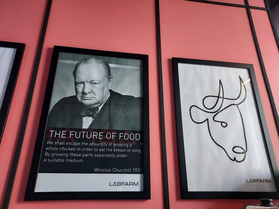 Dekoracje w siedzibie LabFarm przypominają, że już 100 lat temu dostrzegano ogromne straty wiążące się z hodowlą zwierząt na mięso