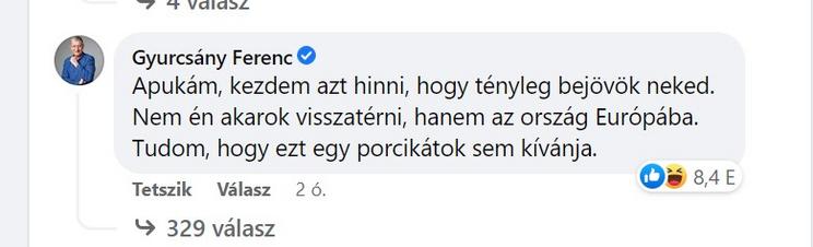 Íme Gyurcsány Ferenc beszólása a kommentek között/ Fotó: Facebook  