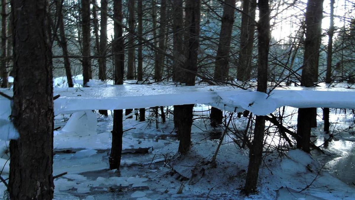 Mróz, który ściska Polskę od kilku dni, pokazuje także swoje piękne oblicze. Zdjęcia grubej "lewitujących tafli lodu" nad ziemią udostępniła na Facebooku administracja rady sołeckiej miejscowości Kaczory.