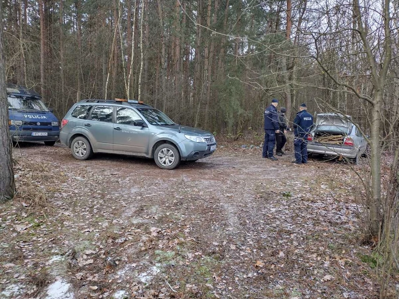 Kierowca Opla wjechał do lasu w niedozwolonym miejscu