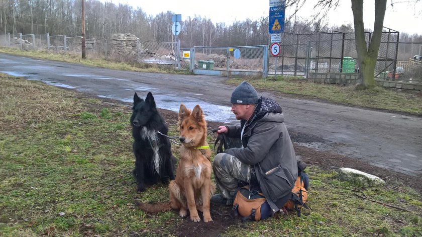 Wierny pies pół roku szukał drogi do domu