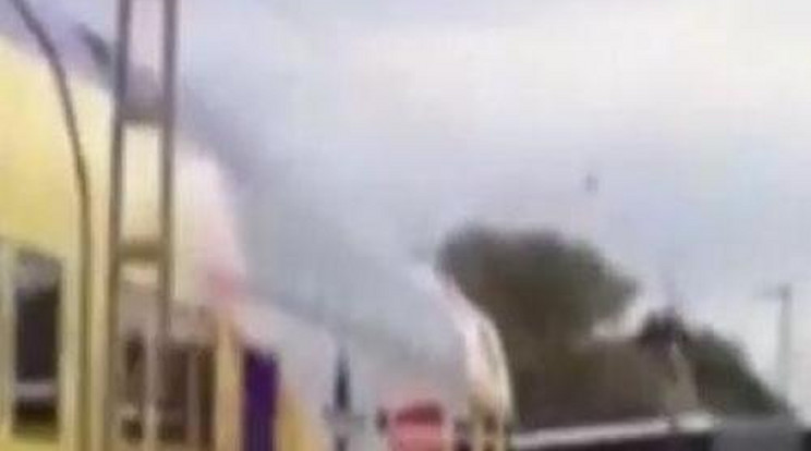 60 gyereket mentett meg a biztos haláltól a fiatal buszvezető lány! - videó!