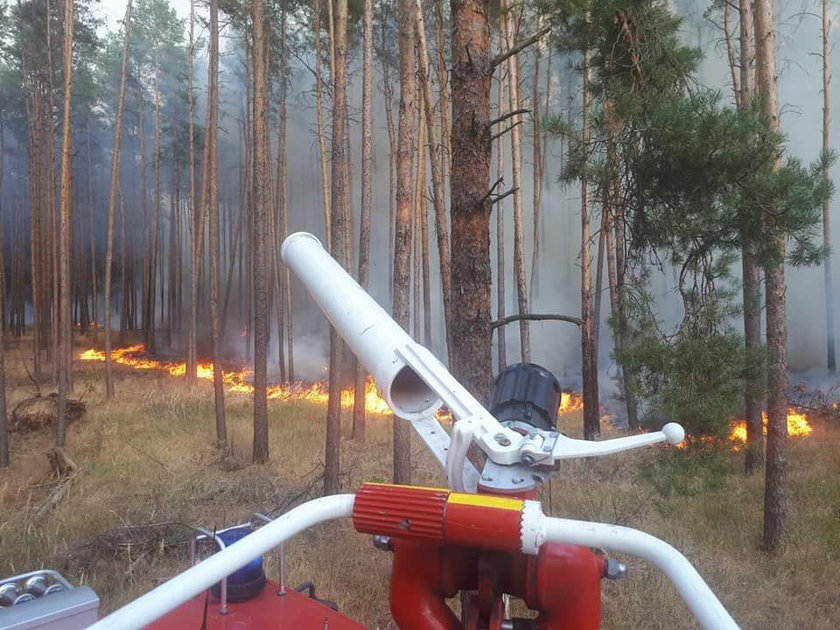 A forest fire is seen in Treuenbrietzen