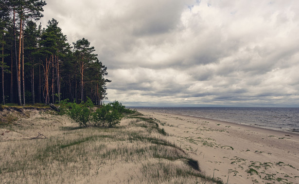 Plaża nad morzem