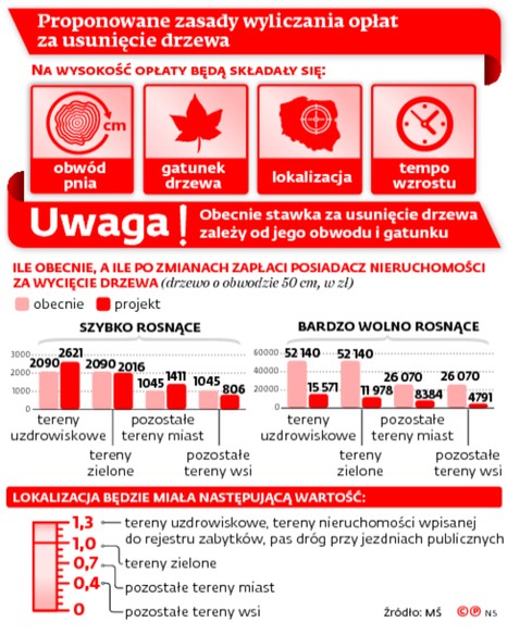 Proponowane zasady wyliczania opłat za usunięcie drzewa