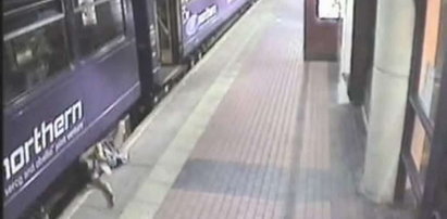 Pijana kobieta wpadła pod pociąg i przeżyła. WIDEO