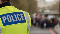 tower of london zamknięta. aktywiści obrzucili budyniem gablotę z koro