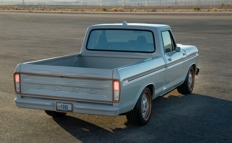 Ford F-100 Eluminator