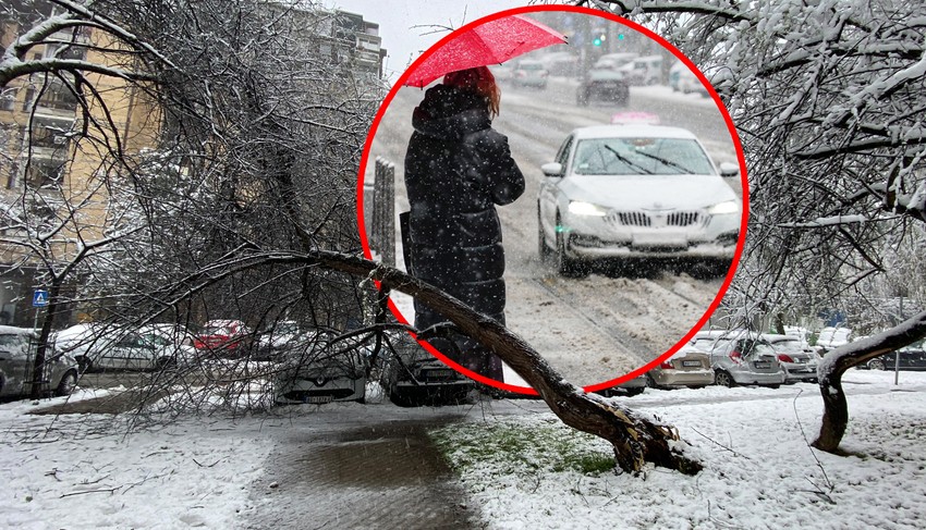 Sneg napravio kolaps u saobraćaju, širom Beograda padalo drveće 