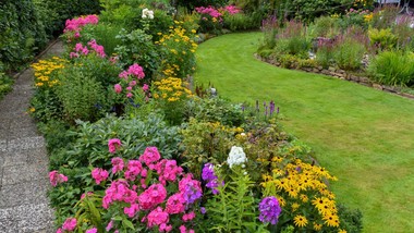 najpiękniejsze byliny długo kwitnące, zimujące w gruncie. kwiaty wieloletnie do ogrodu bez wykopywania